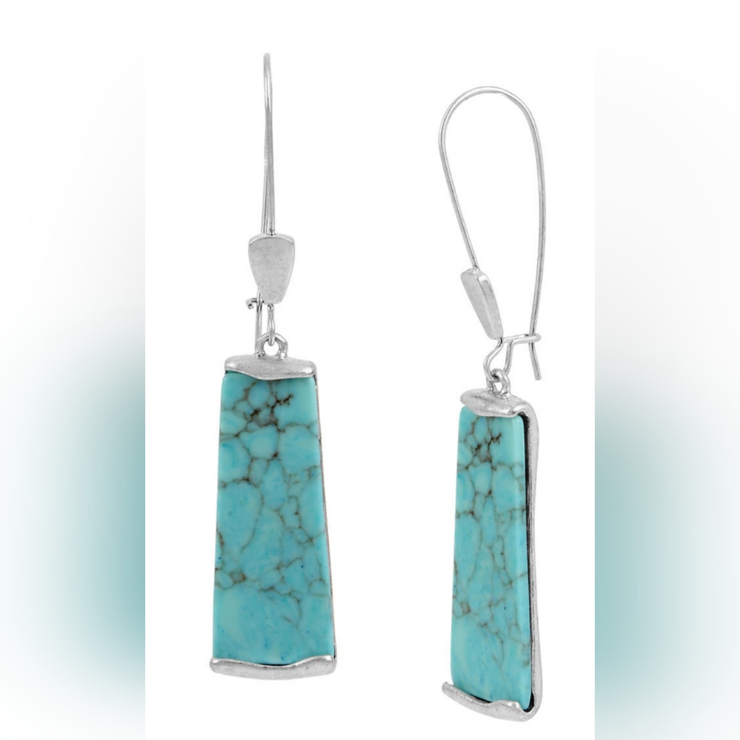 Robert Lee Morris Soho Turquoise Earrings 20$